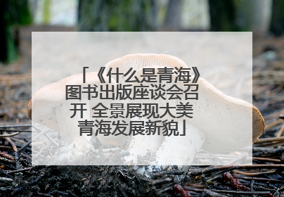 《什么是青海》图书出版座谈会召开 全景展现大美青海发展新貌