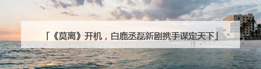 《莫离》开机，白鹿丞磊新剧携手谋定天下
