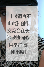 《铜官不止窑》创作交流会在长沙政协同心园举行 陈刚出席