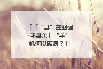 「“县”在图强·环县①」“羊”帆何以破浪？