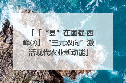 「“县”在图强·西峰②」“三元双向”激活现代农业新动能