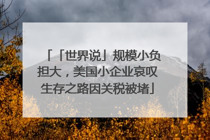 「世界说」规模小负担大，美国小企业哀叹生存之路因关税被堵