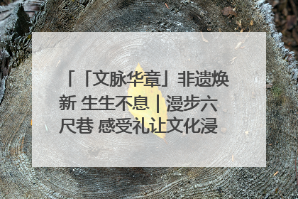 「文脉华章」非遗焕新 生生不息｜漫步六尺巷 感受礼让文化浸润的“巷”往生活