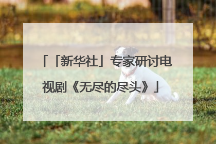 「新华社」专家研讨电视剧《无尽的尽头》