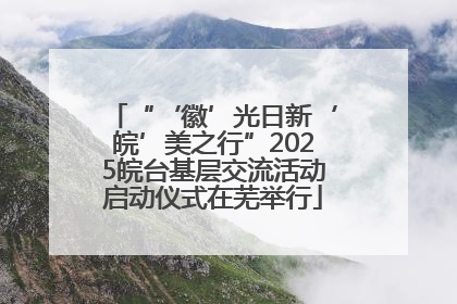 “‘徽’光日新‘皖’美之行”2025皖台基层交流活动启动仪式在芜举行