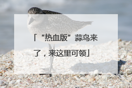 “热血版”蒜鸟来了，来这里可领