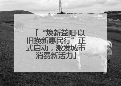 “焕新益阳·以旧换新惠民行”正式启动，激发城市消费新活力