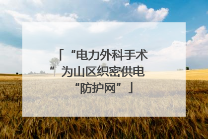 “电力外科手术”为山区织密供电“防护网”
