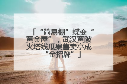 “简易棚”蝶变“黄金屋”，武汉黄陂火塔线瓜果售卖亭成“金招牌”