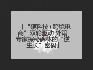 “硬科技+跨境电商”双轮驱动 外籍专家探秘碑林的“逆生长”密码