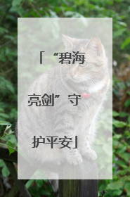 “碧海亮剑”守护平安