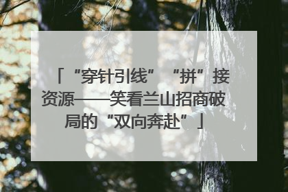 “穿针引线”“拼”接资源——笑看兰山招商破局的“双向奔赴”