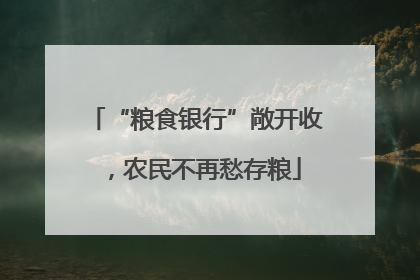 “粮食银行”敞开收，农民不再愁存粮