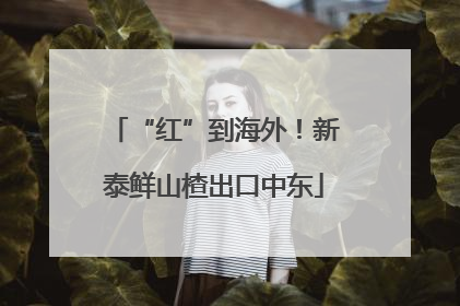 “红”到海外！新泰鲜山楂出口中东