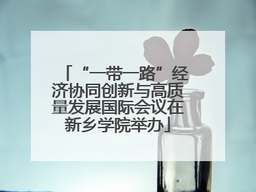 “一带一路”经济协同创新与高质量发展国际会议在新乡学院举办