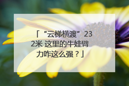 “云梯横渡”232米 这里的牛娃臂力咋这么强？