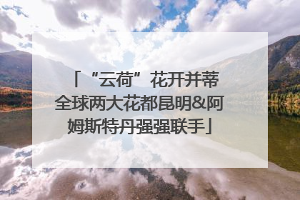 “云荷”花开并蒂 全球两大花都昆明&阿姆斯特丹强强联手
