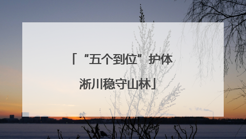 “五个到位”护体 淅川稳守山林
