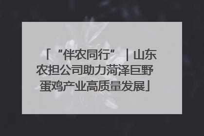 “伴农同行”｜山东农担公司助力菏泽巨野蛋鸡产业高质量发展