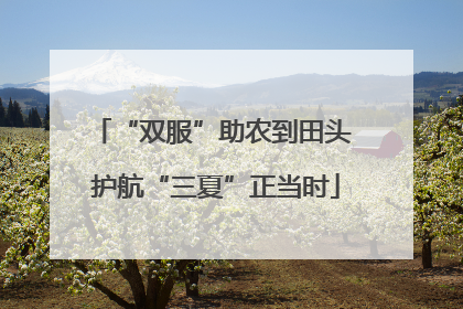 “双服”助农到田头 护航“三夏”正当时