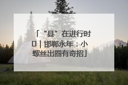 “县”在进行时⑬｜邯郸永年：小螺丝出圈有奇招