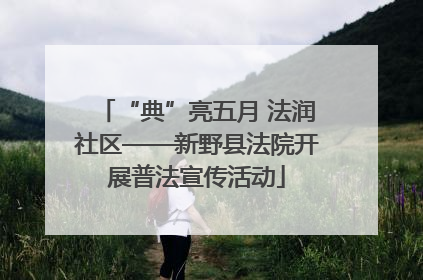 “典”亮五月 法润社区——新野县法院开展普法宣传活动