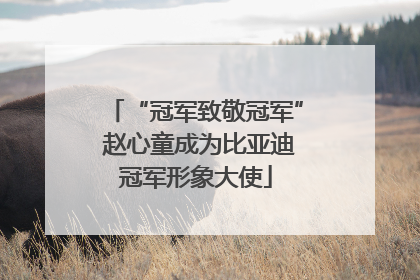 “冠军致敬冠军” 赵心童成为比亚迪冠军形象大使