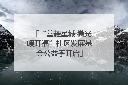 “善耀星城·微光暖开福”社区发展基金公益季开启