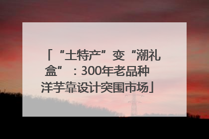 “土特产”变“潮礼盒”：300年老品种洋芋靠设计突围市场