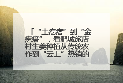 “土疙瘩”到“金疙瘩”，看肥城旅店村生姜种植从传统农作到“云上”热销的蝶变之路