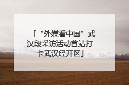 “外媒看中国”武汉段采访活动首站打卡武汉经开区