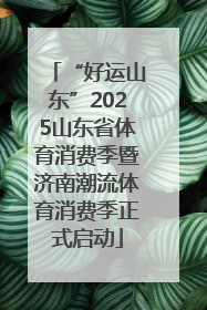 “好运山东”2025山东省体育消费季暨济南潮流体育消费季正式启动