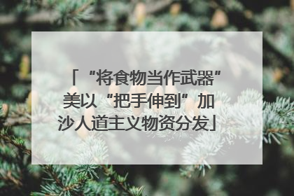 “将食物当作武器” 美以“把手伸到”加沙人道主义物资分发