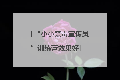 “小小禁毒宣传员”训练营效果好
