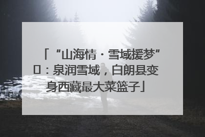 “山海情・雪域援梦”⑪：泉润雪域，白朗县变身西藏最大菜篮子