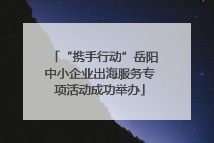 “携手行动”岳阳中小企业出海服务专项活动成功举办
