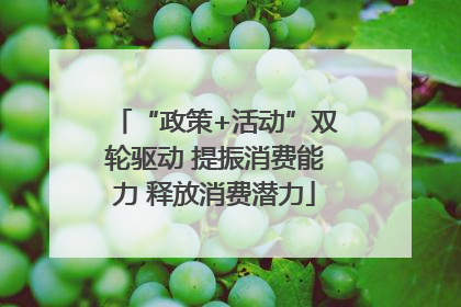“政策+活动”双轮驱动 提振消费能力 释放消费潜力