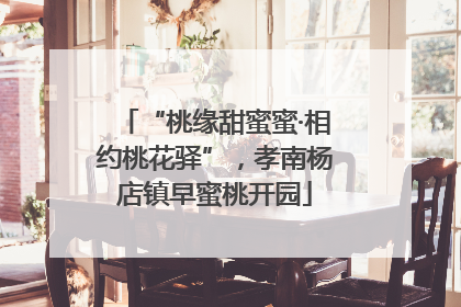“桃缘甜蜜蜜·相约桃花驿”，孝南杨店镇早蜜桃开园