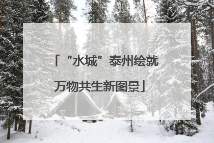“水城”泰州绘就万物共生新图景