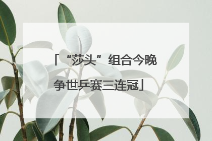 “莎头”组合今晚争世乒赛三连冠
