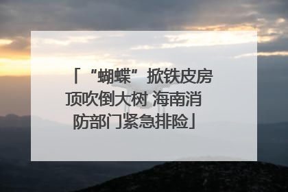 “蝴蝶”掀铁皮房顶吹倒大树 海南消防部门紧急排险