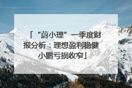 “蔚小理”一季度财报分析：理想盈利稳健 小鹏亏损收窄