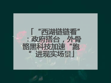 “西湖链链看”：政府搭台，外骨骼黑科技加速“跑”进现实场景