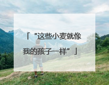 “这些小麦就像我的孩子一样”