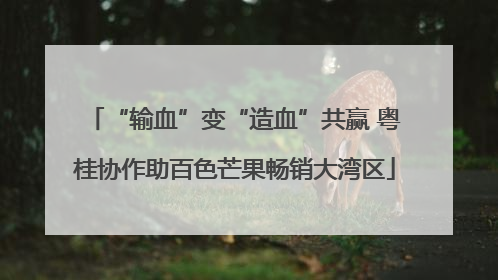 “输血”变“造血”共赢 粤桂协作助百色芒果畅销大湾区
