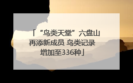 “鸟类天堂”六盘山再添新成员 鸟类记录增加至336种