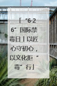 “6·26”国际禁毒日丨以匠心守初心，以文化拒“毒”行