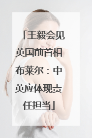 王毅会见英国前首相布莱尔：中英应体现责任担当