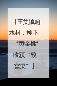 王集镇响水村：种下“黄金桃” 收获“致富果”