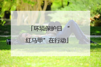 环境保护日 “红马甲”在行动